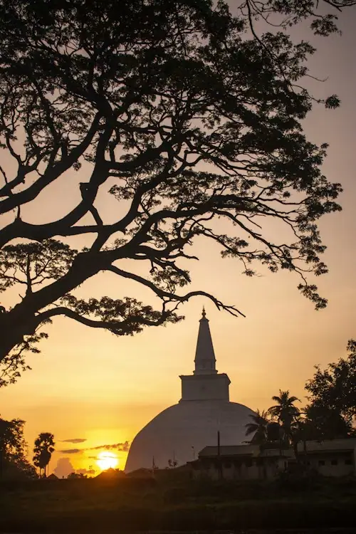 Photography tours in Sri Lanka