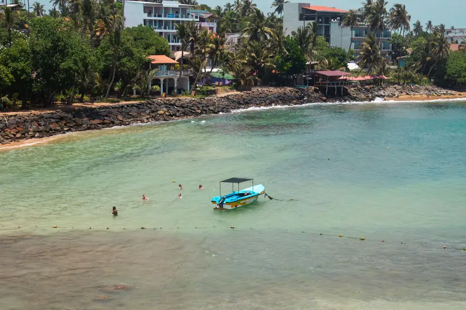 Blue Whale Watching tour in Sri Lanka