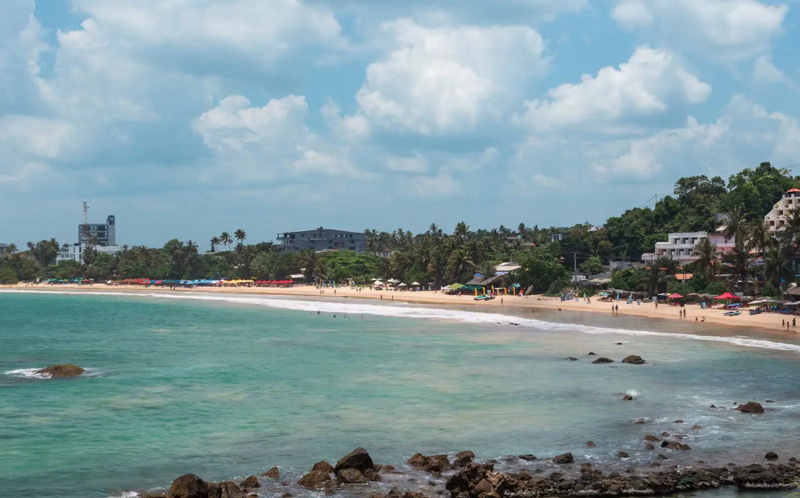 Kalpitiya Dolphins & Kitesurf in Sri Lanka