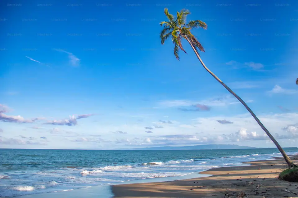 Delft Island, Sri Lanka
