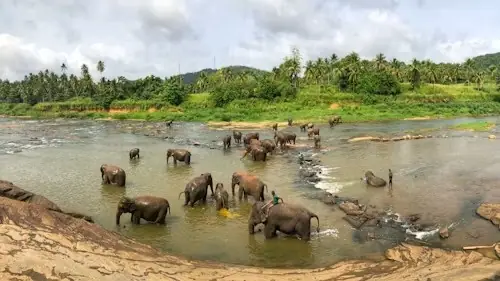 Tissamaharama, Sri Lanka