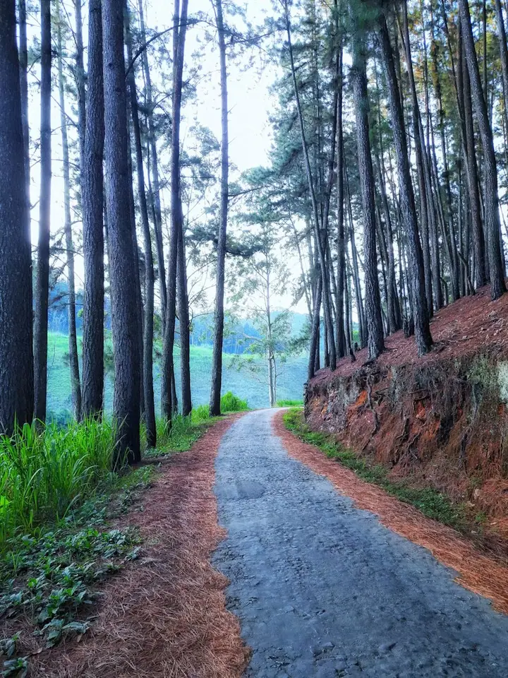 Nuwara Eliya, Sri Lanka