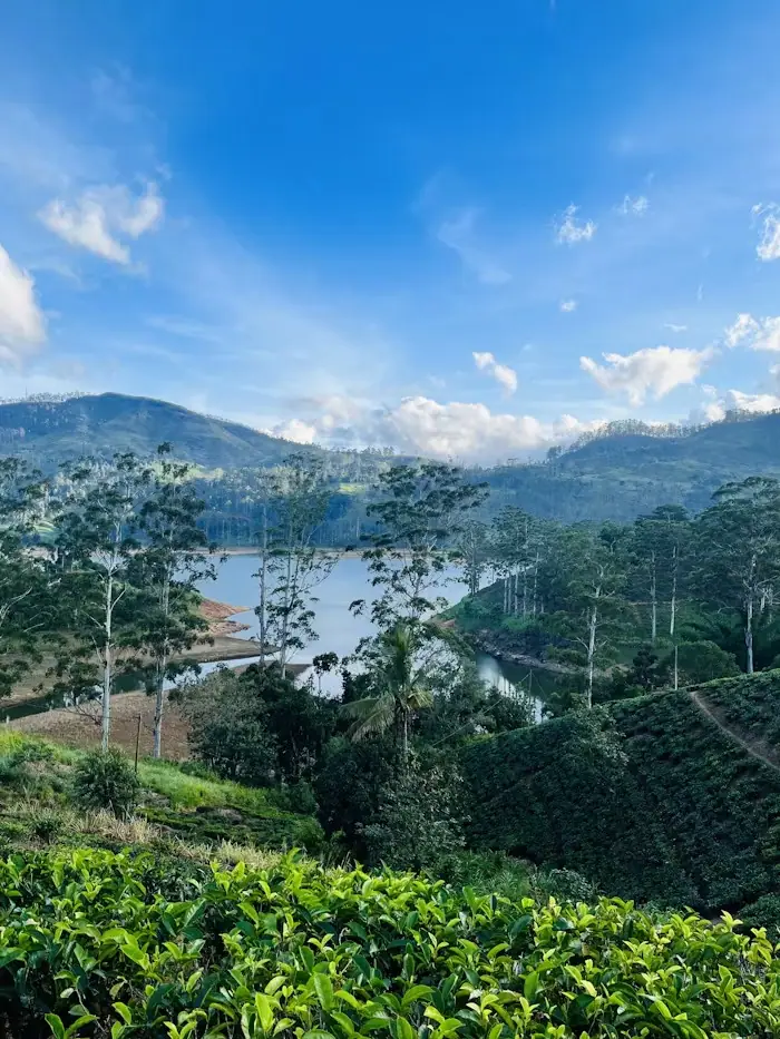 Slow Week: Hills, Sea & Spa tour in Sri Lanka