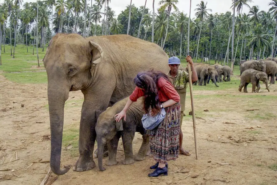 Family tours in Sri Lanka