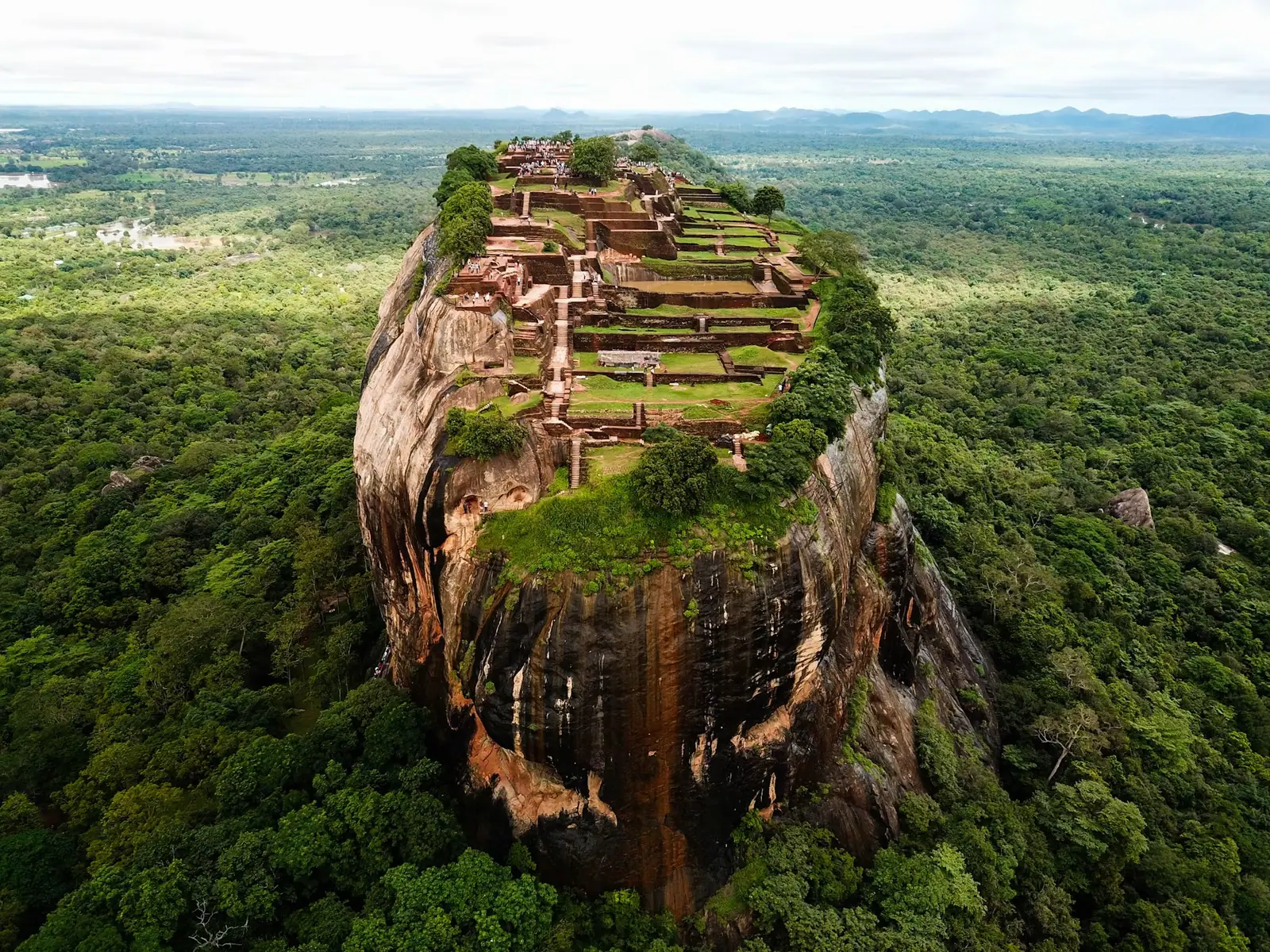 Sigiriya & Dambulla Day Tour in Sri Lanka