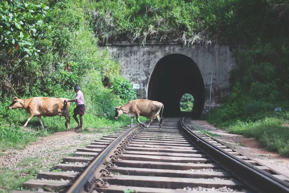 A tunnel on the hill line, Sri Lanka