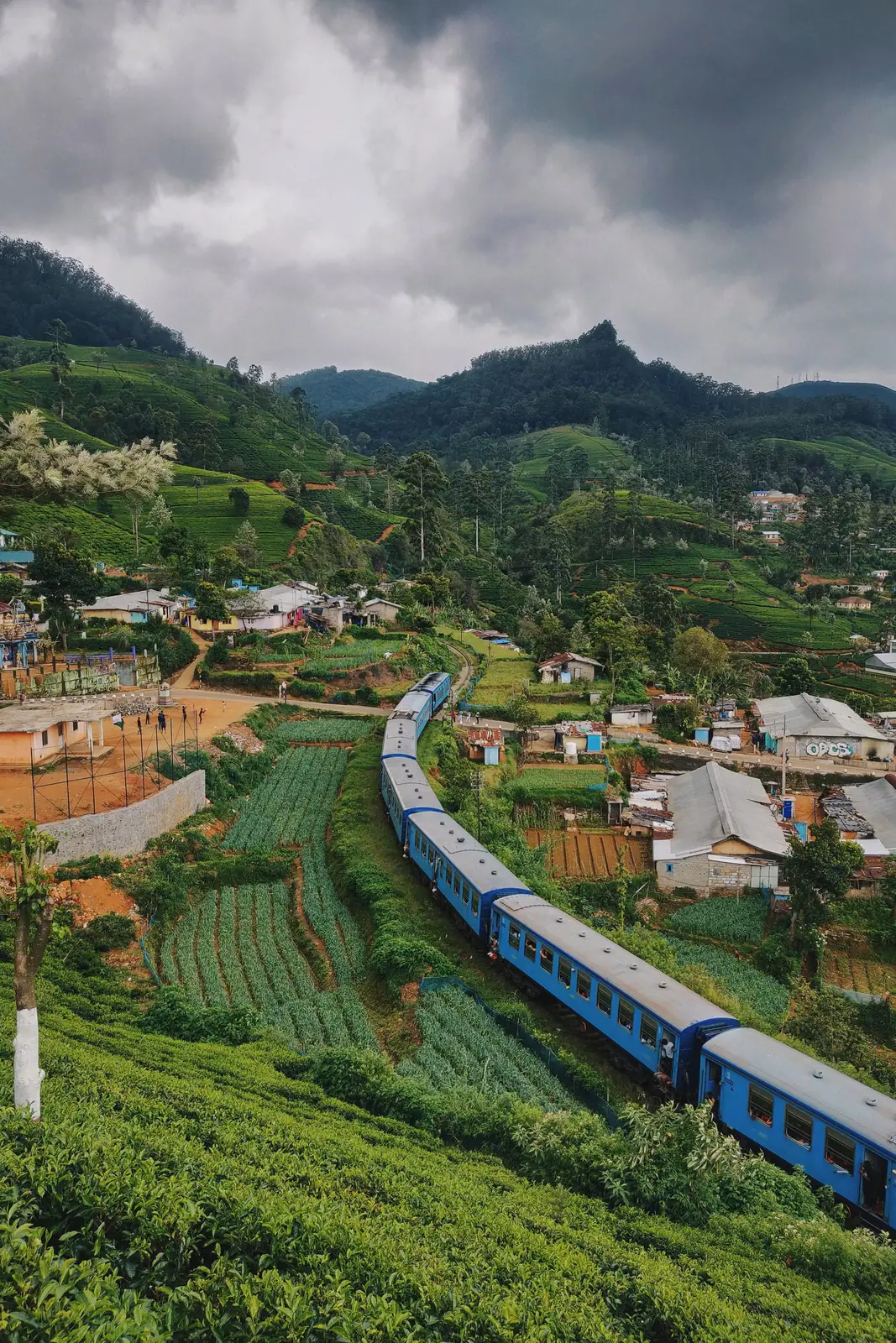Hills, Trains & Southern Beaches in Sri Lanka